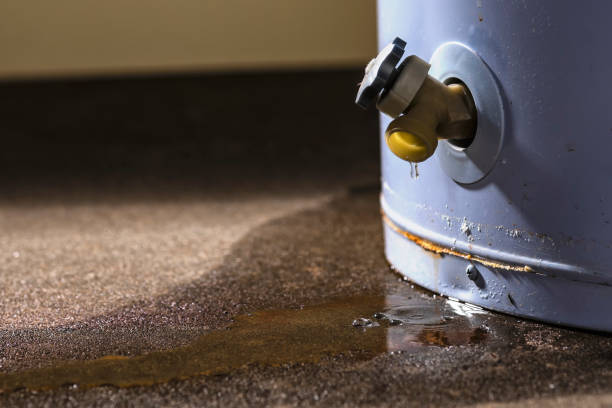 24/7 water damage repair in TN