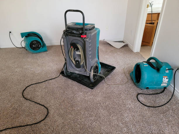 Best 24/7 water damage repair  in Goodlettsville, TN