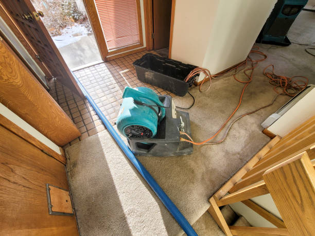 Reliable TN Water damage restoration Solutions