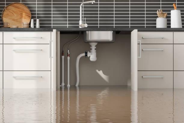 Best Residential water damage restoration  in Goodlettsville, TN