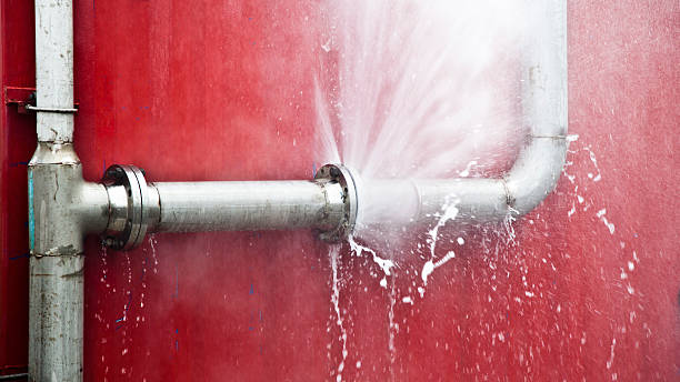 Best Mold removal after water damage  in Goodlettsville, TN